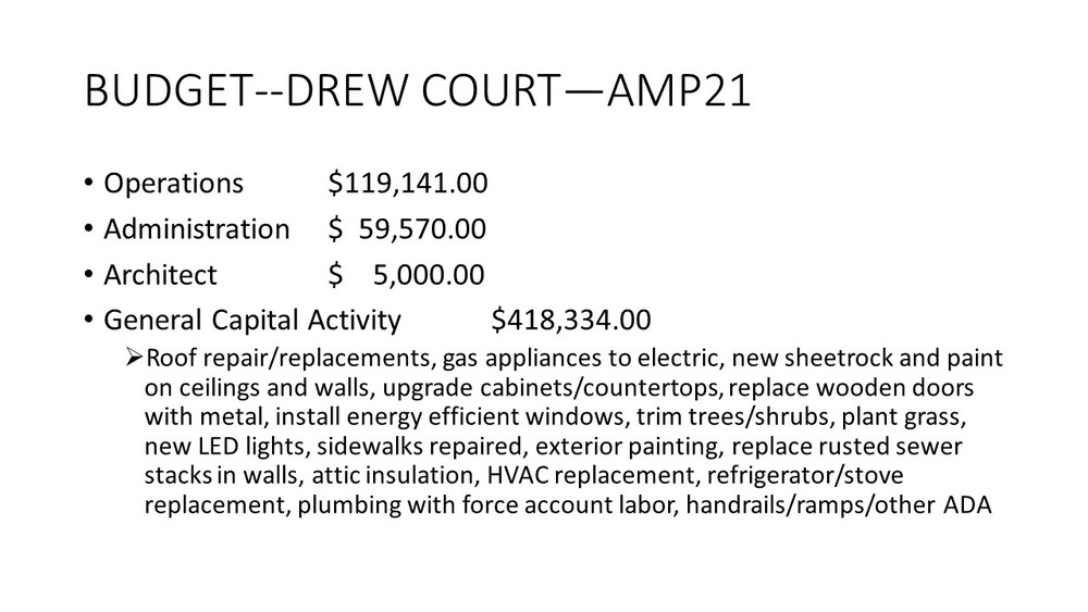 Budget Drew Court Amp 21